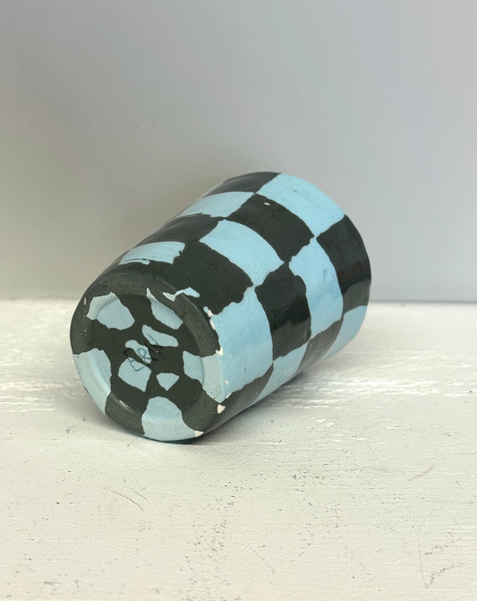 sage grey and robins egg checks